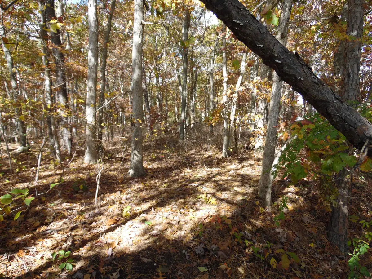 00 Holly Ave, Galloway, NJ 08205-0000 - Image #1