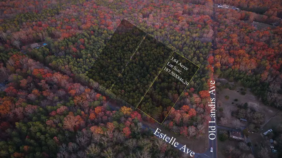 B:534 L:11.01 Estelle Ave, Mays Landing, NJ 08330 - Image #2