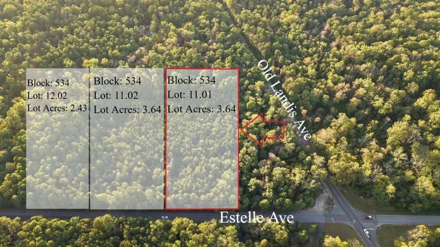 B:534 L:11.01 Estelle Ave, Mays Landing, NJ 08330 - Image #3