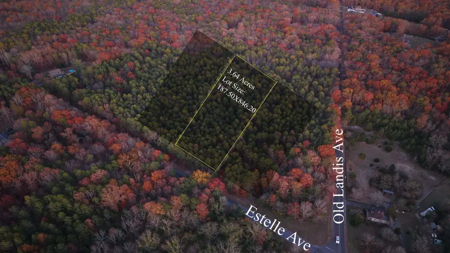 B:534 L:11.02 Estelle Ave, Mays Landing, NJ 08330 - Image #2