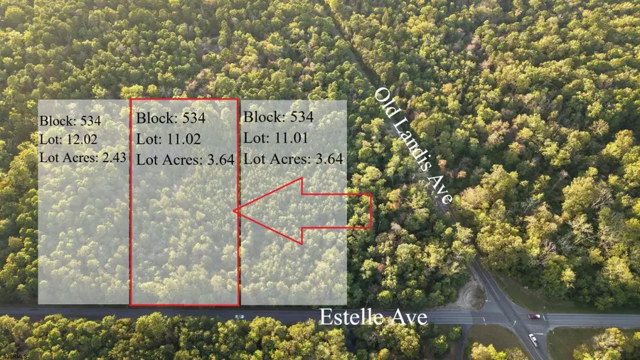 B:534 L:11.02 Estelle Ave, Mays Landing, NJ 08330 - Image #3