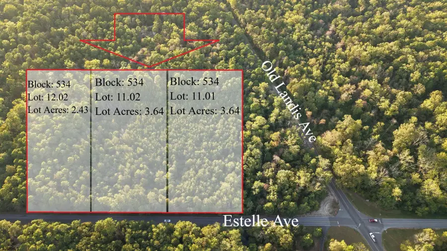 Lot:11.02-12.02 Estelle Ave, Mays Landing, NJ 08330 - Image #3