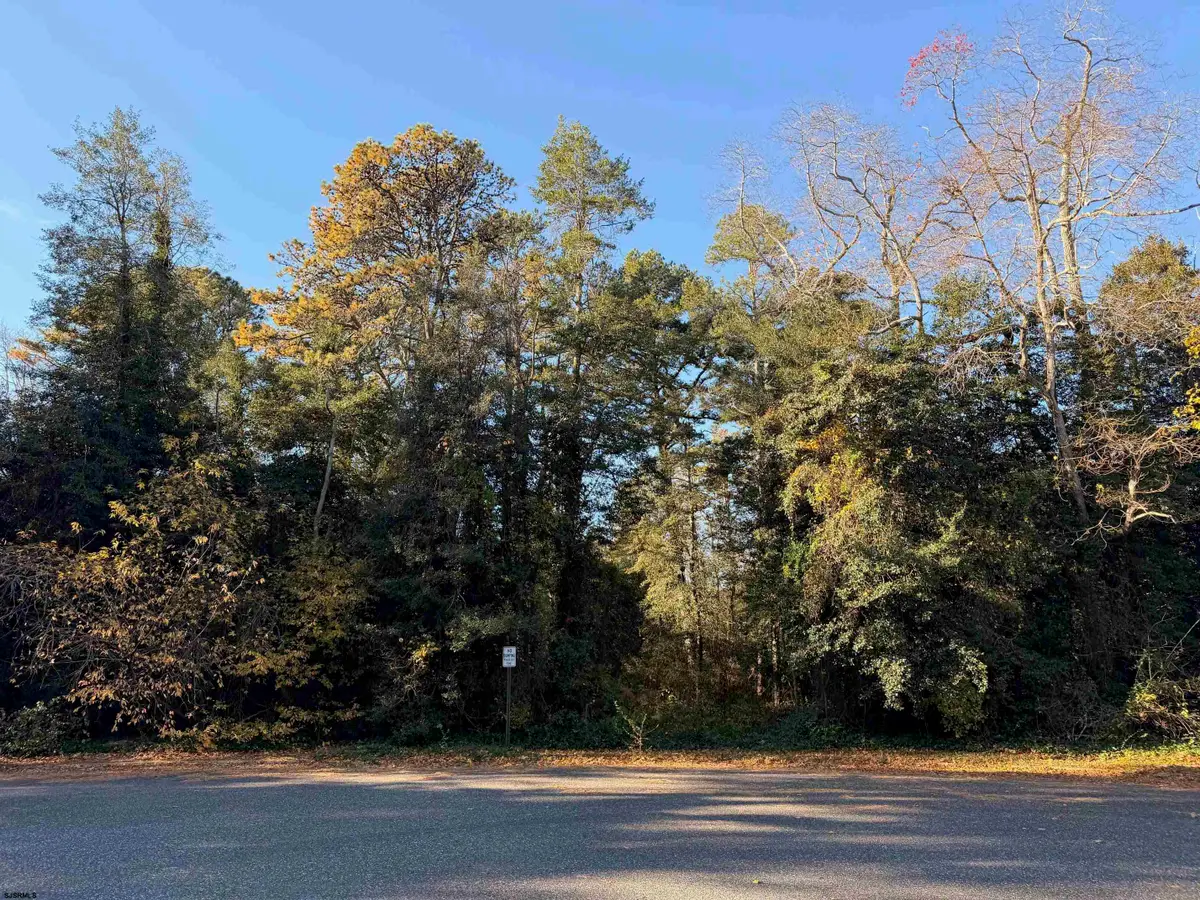 24 E Timber Dr, Marmora, NJ 08223 - Image #1