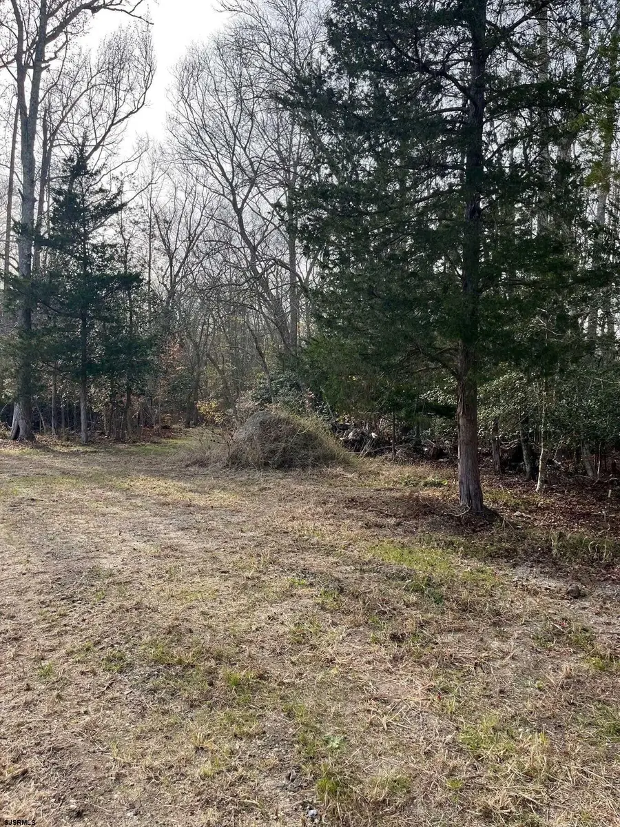 225 Zion Road, Egg Harbor Township, NJ 08234 - Image #3