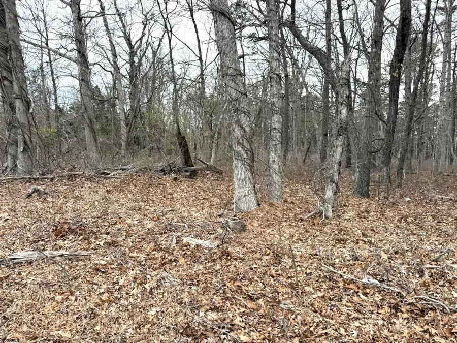 0 W White Horse Pike Pike, Galloway, NJ 08205 - Image #3