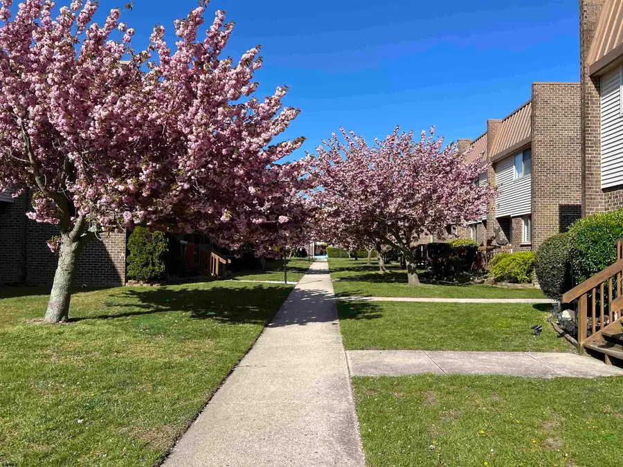 803 B Dudley Ct #1404, Ventnor City, NJ 08406 - Image #2