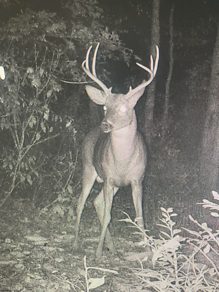 2851 Front St Street, Hammonton, NJ 08037 - #2