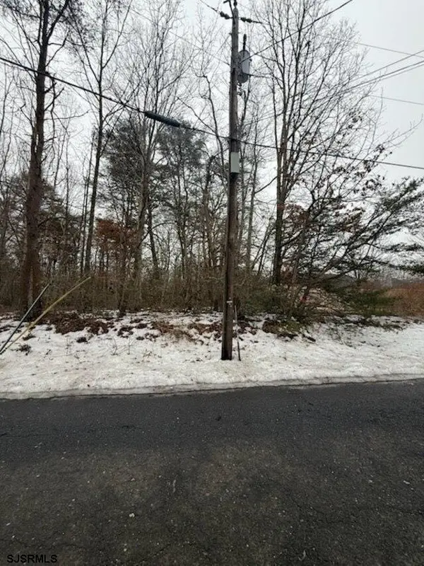 0 Lummistown Road, Cedarville, NJ 08311