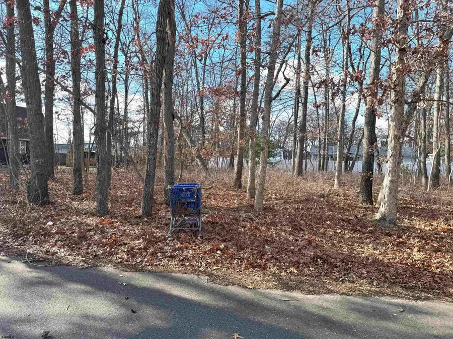 106 Cypress Ave, Egg Harbor, NJ 08225-1907 - #3