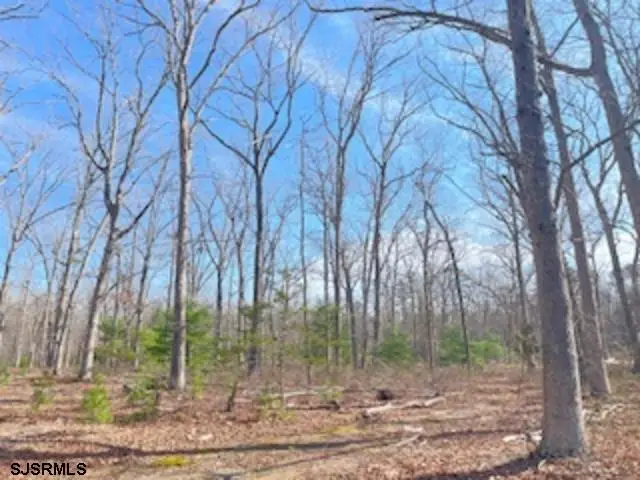 5704 Moss Mill Road, Egg Harbor City, NJ 08215 - #3