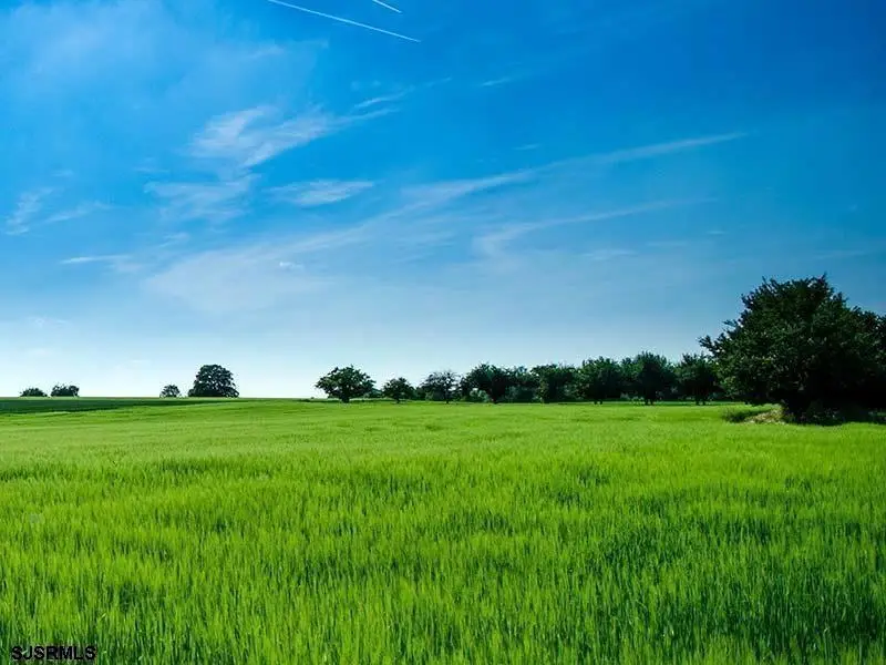 40 Butter Road, Upper, NJ 08230 - #1