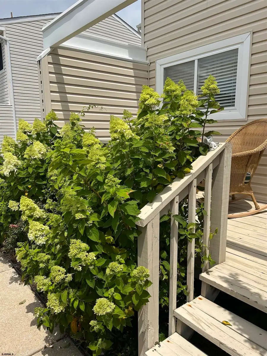 124 44th St S Street #B, Brigantine, NJ 08203 - #2