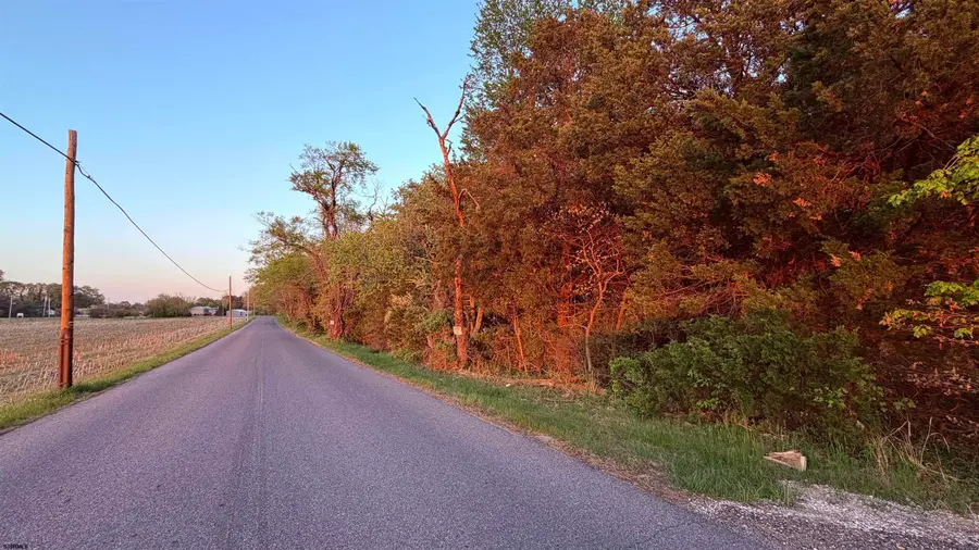 0 Factory Road, Cedarville, NJ 08311 - #2