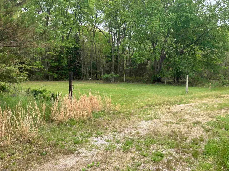 237 Calhoun Ave, Woodbine, NJ 08270 - #3