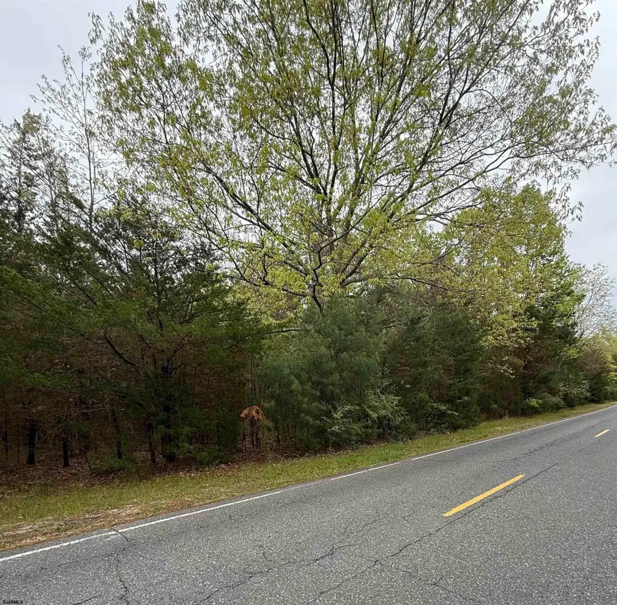 00 Columbia Road, Mullica, NJ 08215 - #3