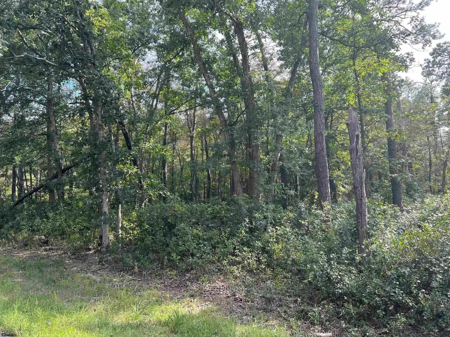 5827 Holly Street, Mays Landing, NJ 08330 - #2