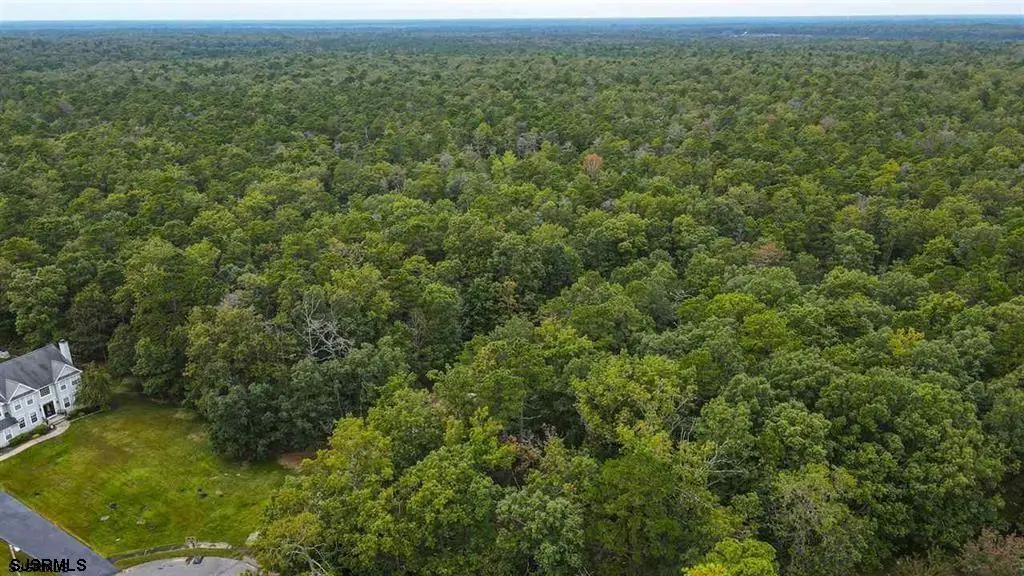 15 Forest View Court, Egg Harbor, NJ 08234 - #1