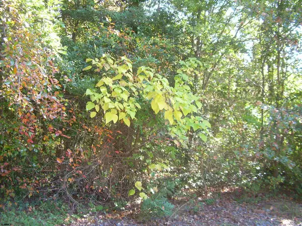 Mobile, Mays Landing, NJ 08330