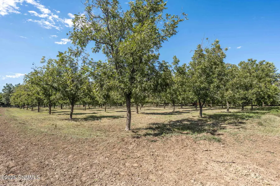 3044 Snow Road, Las Cruces, NM 88005 - Image #3