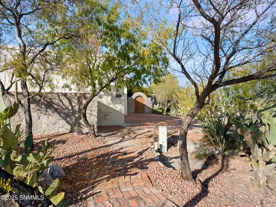 6700 Camino Blanco, Las Cruces, NM 88007 - Image #3