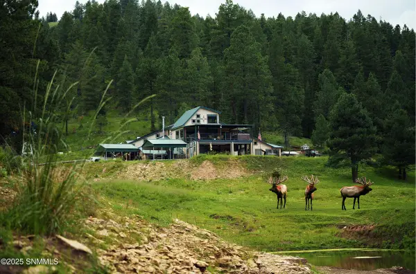 86 Telephone Canyon Road, Weed, NM 88354