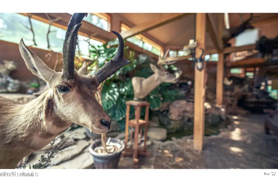 86 Telephone Canyon Road, Weed, NM 88354 - Image #3