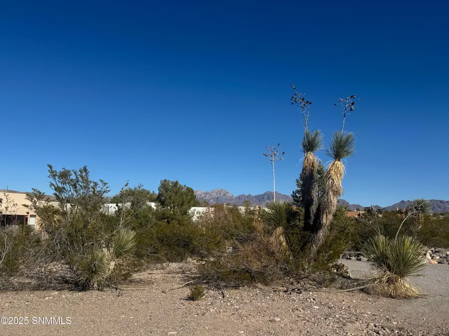 5219 Angel Fire Place Place, Las Cruces, NM 88011 - Image #2