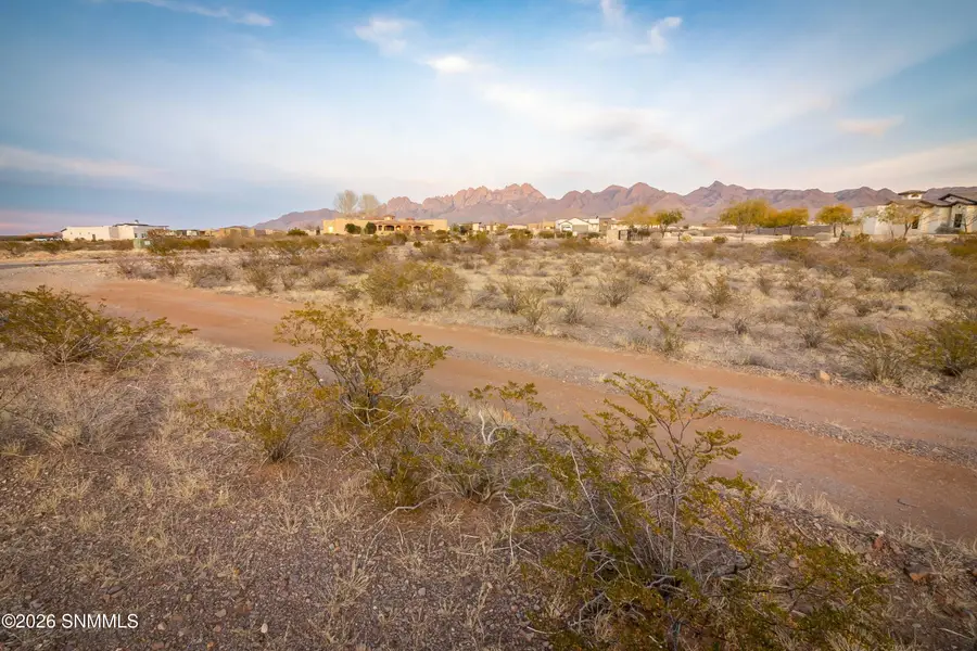 8658 Talavera Avenue, Las Cruces, NM 88011 - Image #3