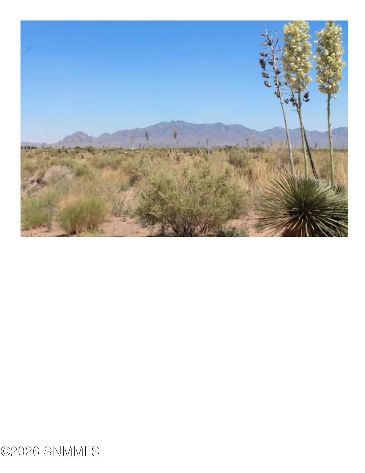 0000 SW Paintbrush Road Road, Deming, NM 88030 - Image #1