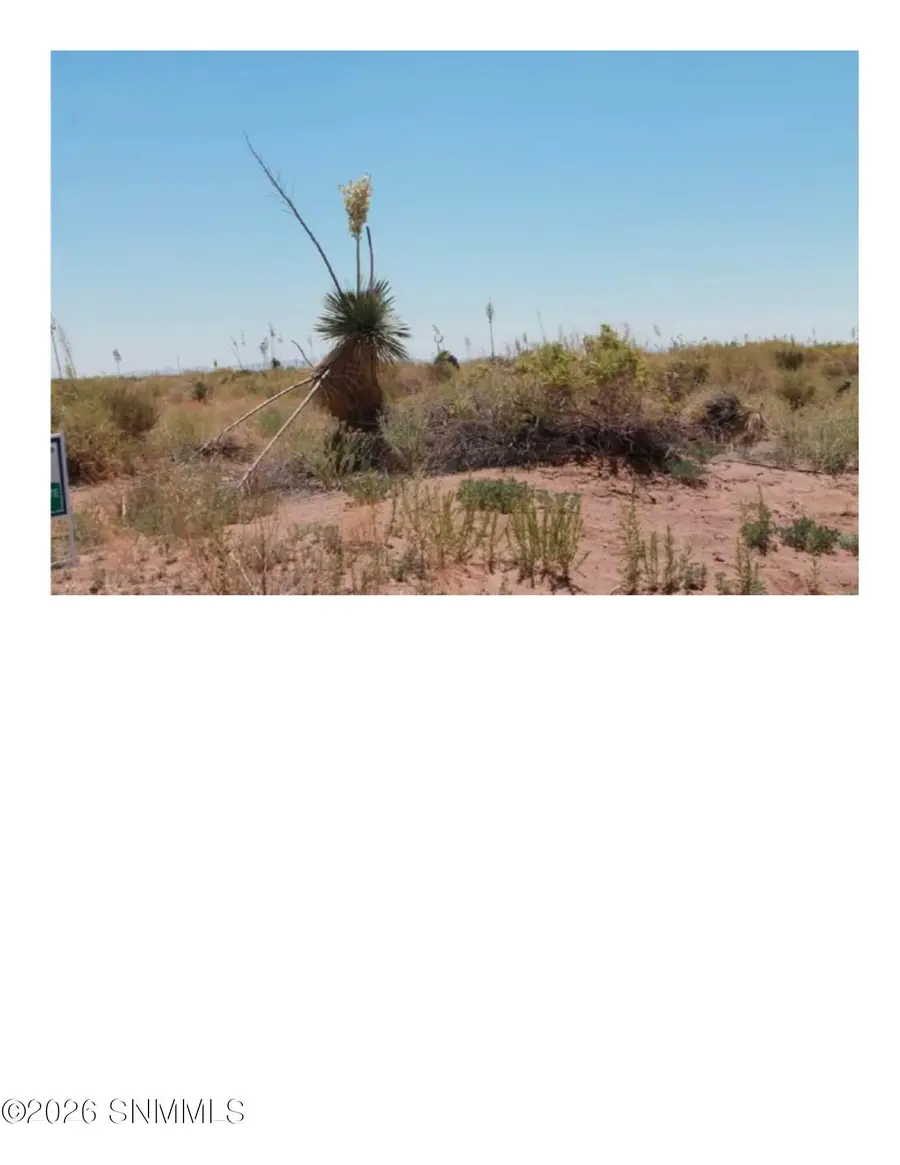 0000 SW Paintbrush Road Road, Deming, NM 88030 - Image #2