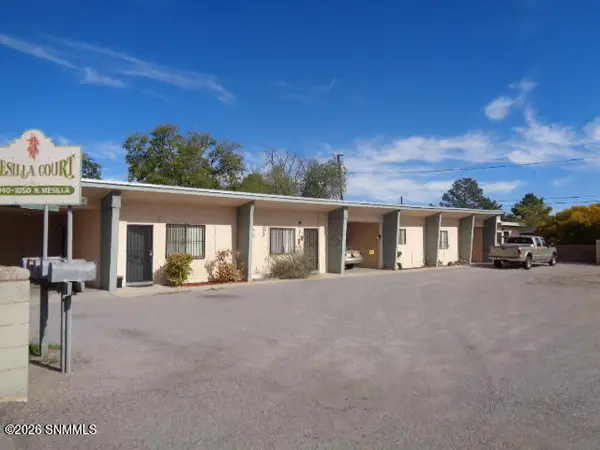 1040 N Mesilla Street #1-7, Las Cruces, NM 88005