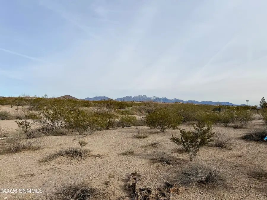 Lot 5 Vanegas Drive, Dona Ana, NM 88032 - Image #3