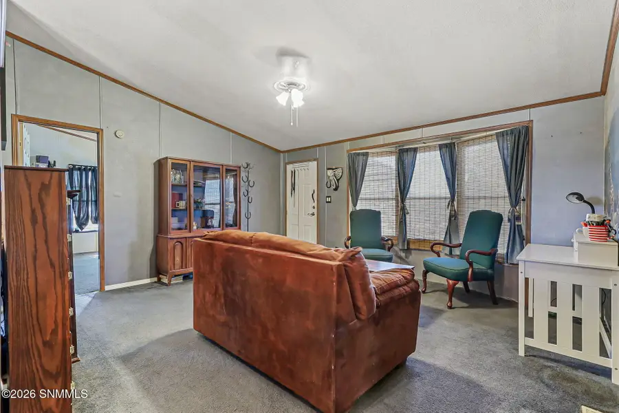 455 Escondido St, Chaparral, NM 88081 - #3