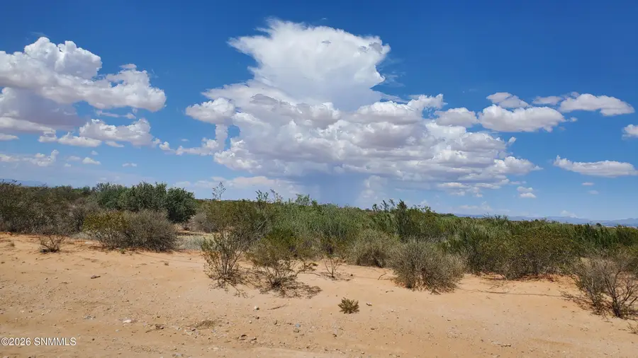 40 Tasmania Avenue, Las Cruces, NM 88012 - #3