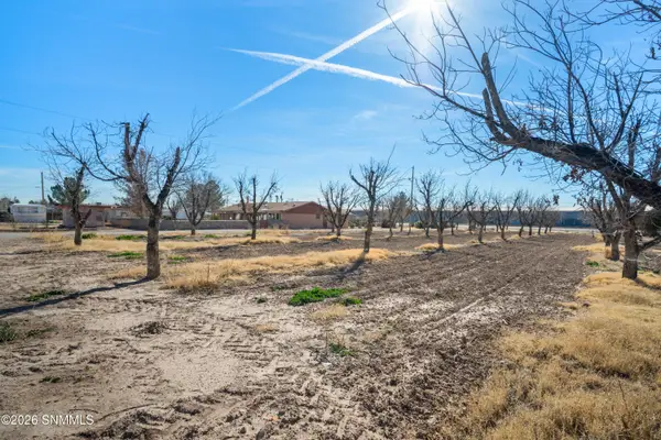 Address Withheld By Seller, Mesquite, NM 88048