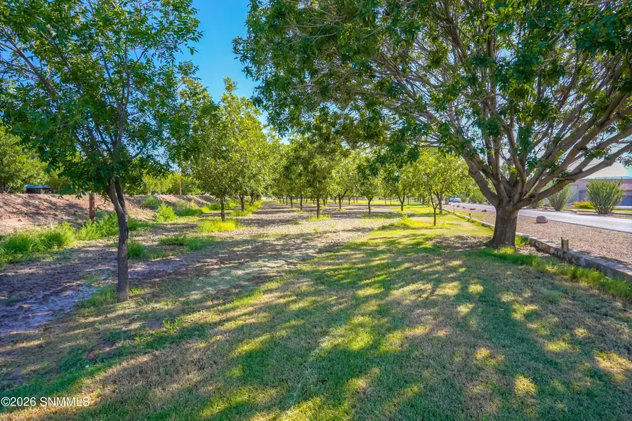 15 Cielo Vista, Anthony, NM 88021 - #2