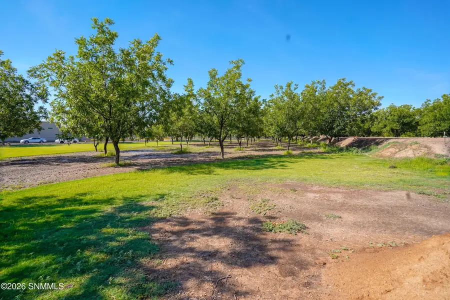 15 Cielo Vista, Anthony, NM 88021 - #3