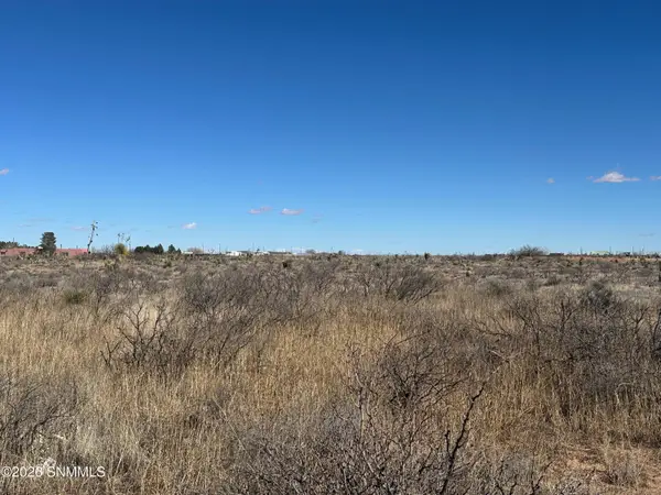 1052 Shiprock Road, Chaparral, NM 88081