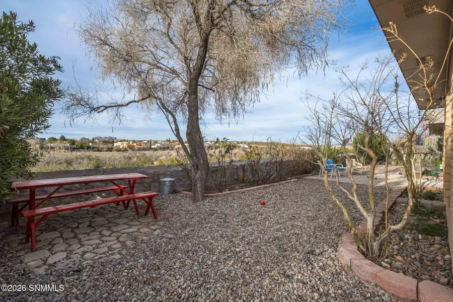2303 Uranus Avenue, Las Cruces, NM 88012 - #2