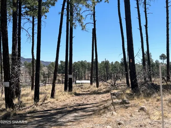 31 Bahamas Drive, Cloudcroft, NM 88317
