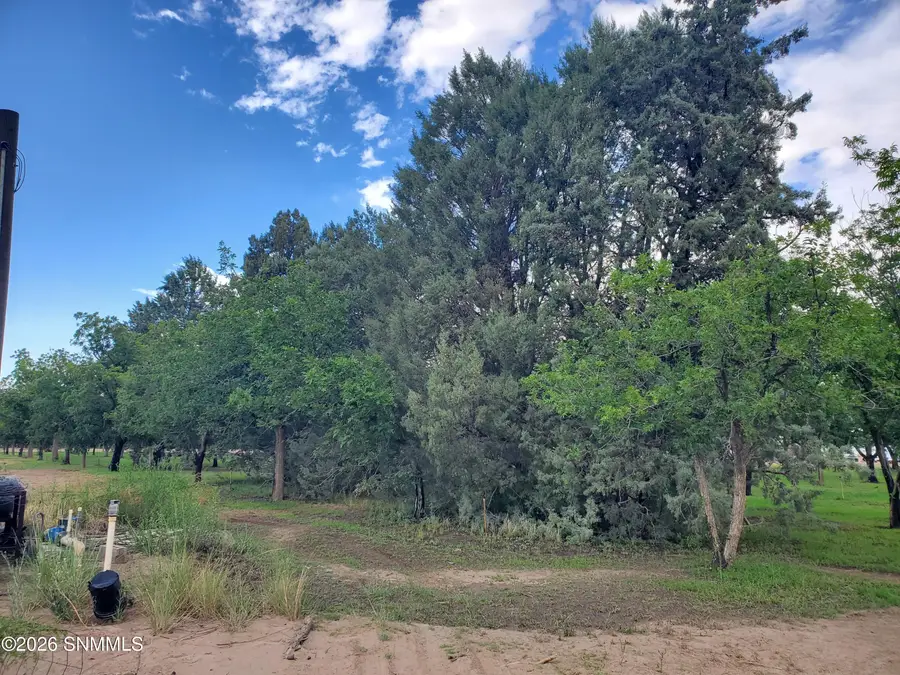 3610 Sparrow Road, Las Cruces, NM 88007 - #2