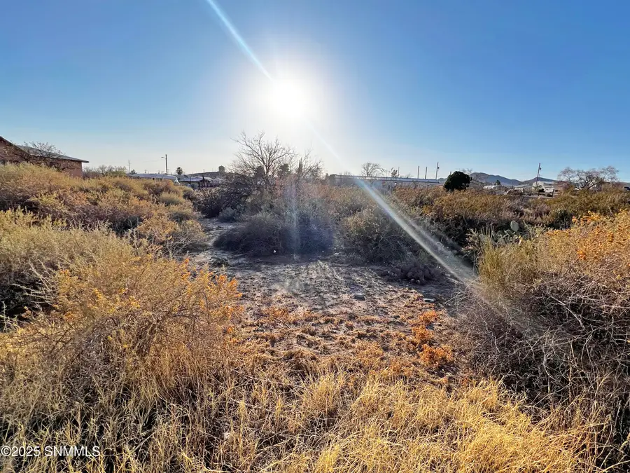 507 N Maple Street, Truth Or Consequences, NM 87901 - #3
