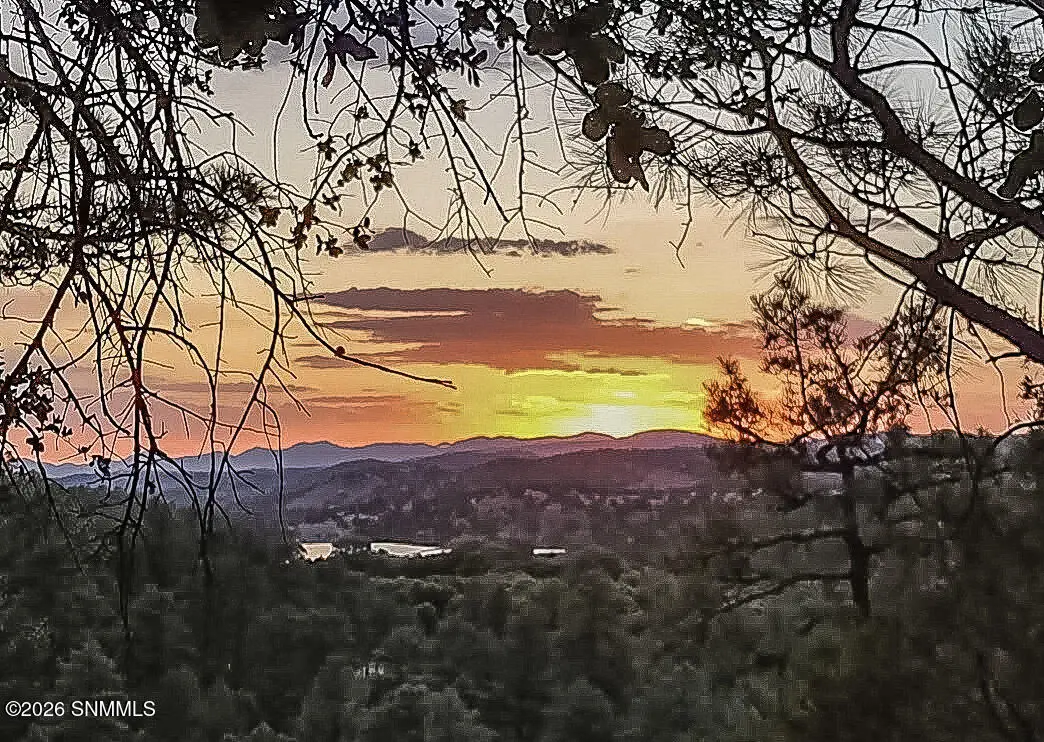 18 Edwards Place, Mimbres, NM 88049 - #1