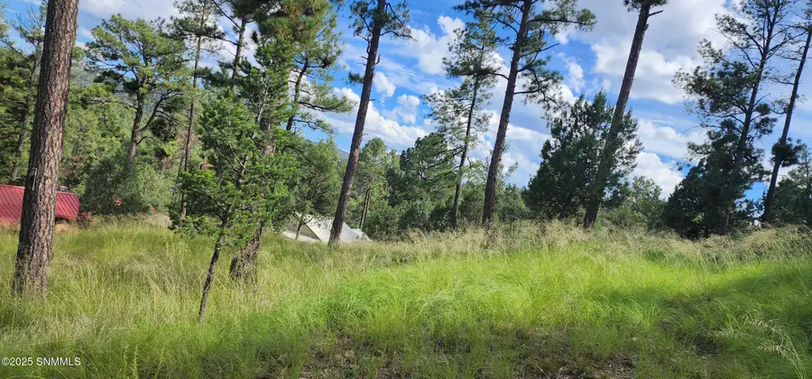 213 3rd Street, Ruidoso, NM 88345 - #2