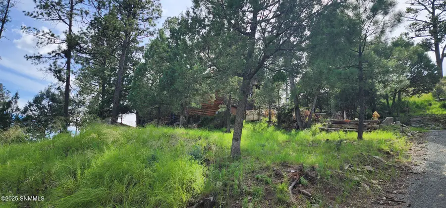 213 3rd Street, Ruidoso, NM 88345 - #3