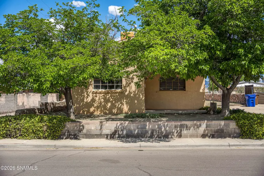 625 S Esperanza Street, Las Cruces, NM 88001 - #2