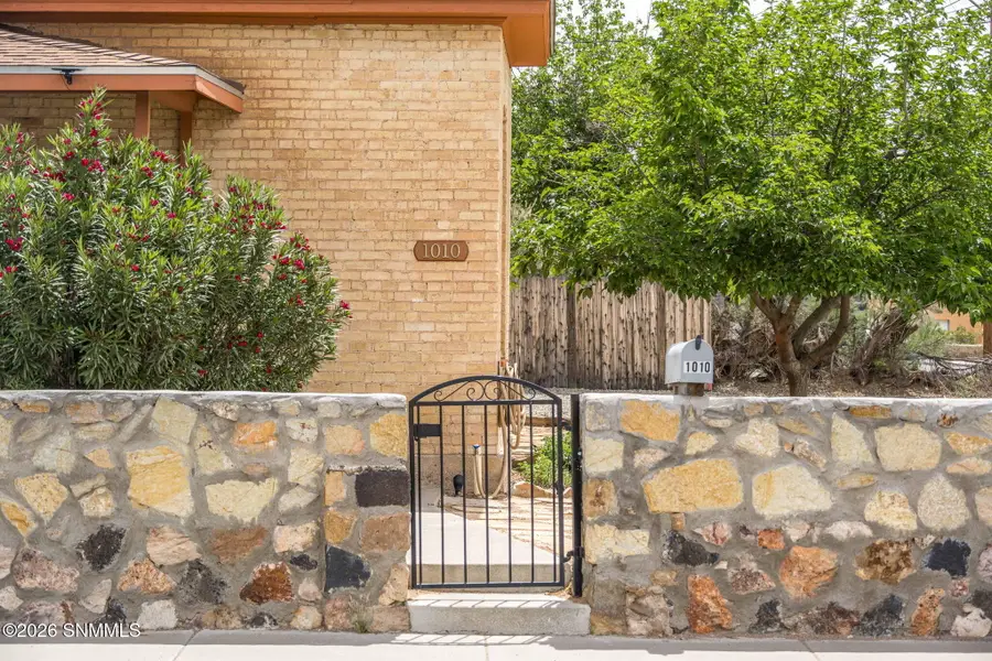 1010 Plain Street, Las Cruces, NM 88001 - #3