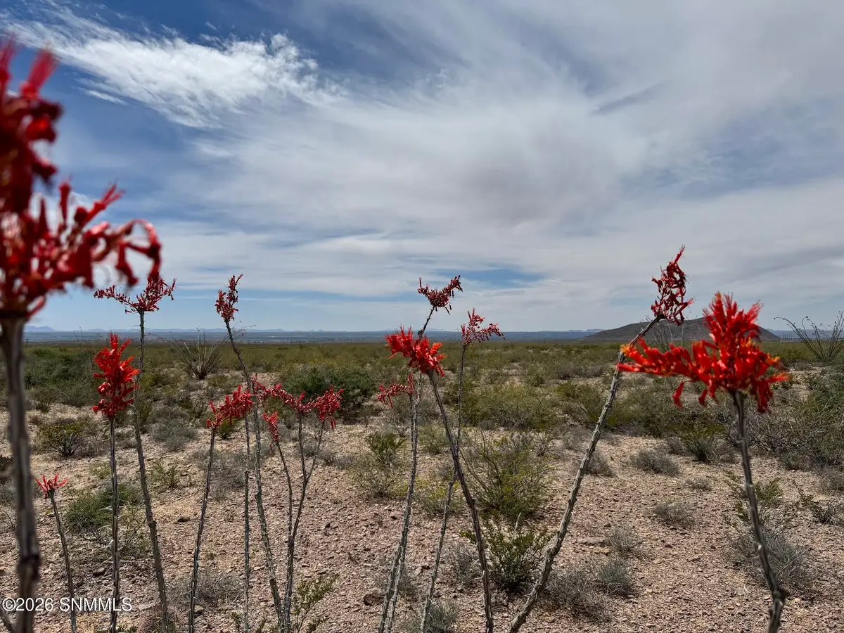 TBD Hardrock Road, Las Cruces, NM 88011 - #1