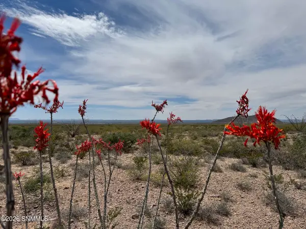 TBD Hardrock Road, Las Cruces, NM 88011