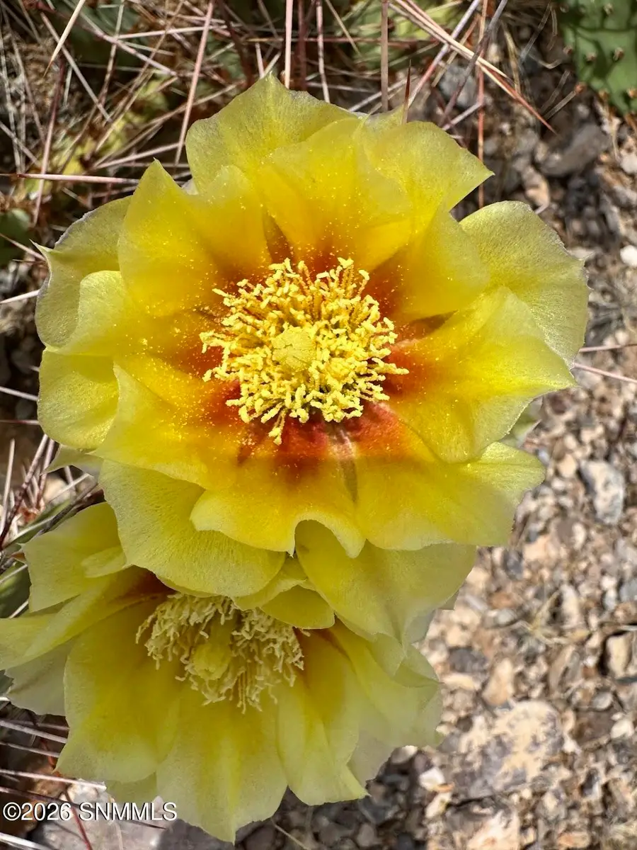 TBD Hardrock Road, Las Cruces, NM 88011 - #3